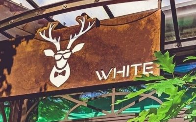 White – Una Perla Gourmet sulle montagne piemontesi